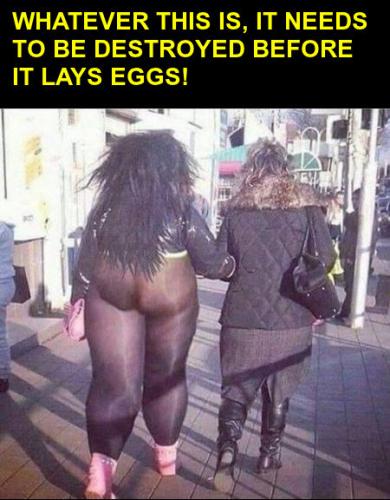 kill it before it lays eggs