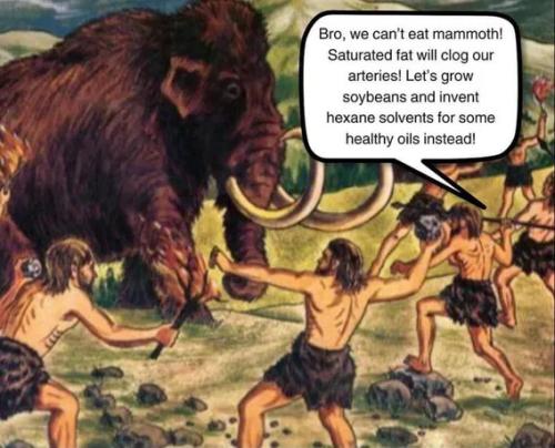 mammoths