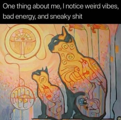 520816361_2323839661344574_1311858094200698668_n