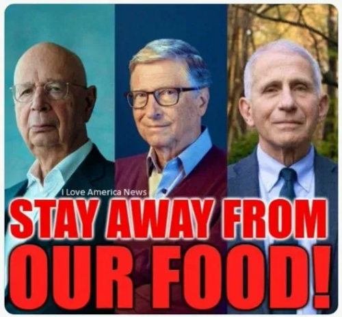 image_2025-07-15_065034082