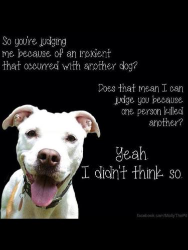 10e409a666c3b1516a5eb904ce10ca85