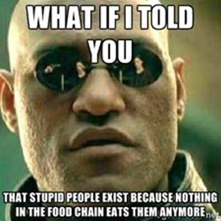 nothing eats stupid people
