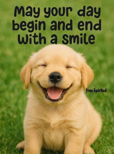 8603ce4ca7d1249230a4197baea209e5