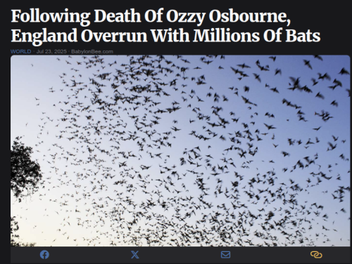 ozzy-england-bats