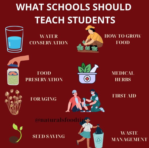 Screenshot 2025-07-03 073227