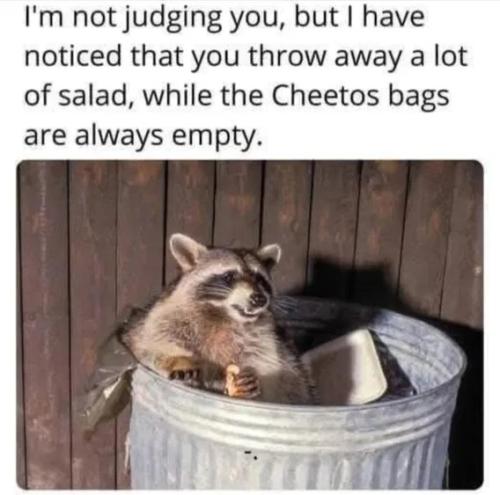salad-cheetos