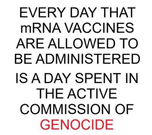 FB_IMG_1751330215823