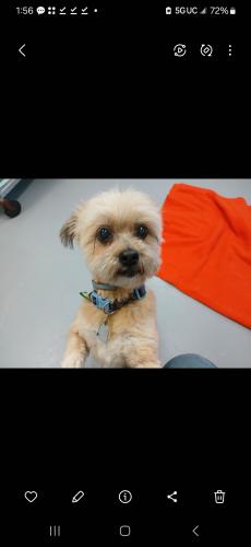 Screenshot_20240726_135700_Gallery