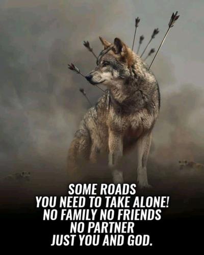 a85cae0cfaa4cc35207361b82de6b949