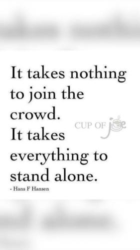 515276047_744869498083864_4476952912692179544_n