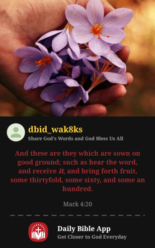 2025-07-251753465882365