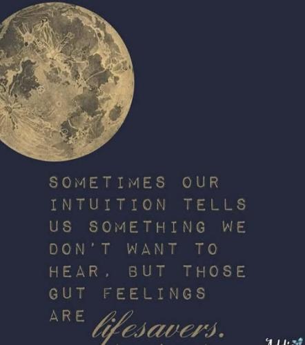 516737485_741366408779554_653205765078307790_n