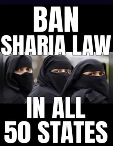 3373a360-3d5f-437c-abfe-5fef3d10eafe