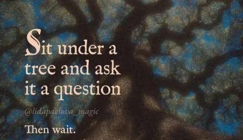 518278072_726073833464026_345071058620092386_n