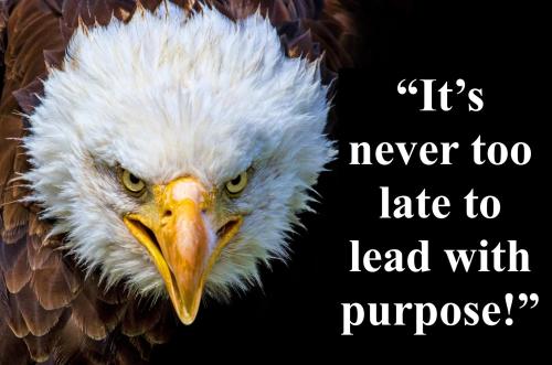 1-It's Never Too Late