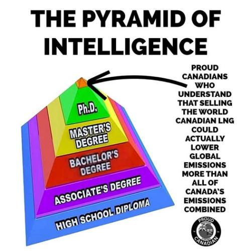 pyramid of intellegence