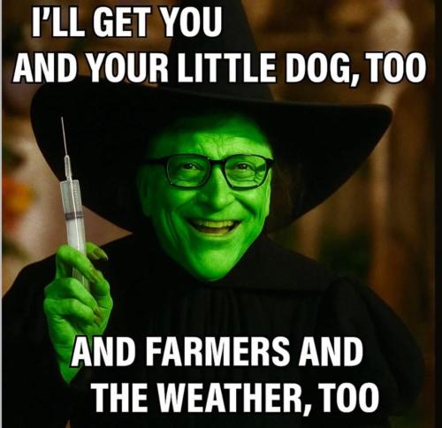 photo_2025-07-05_14-38-33