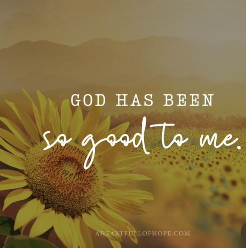 840762407b6c206abd9356fa08a50ef2