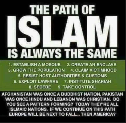 Screenshot 2025-06-28 074534