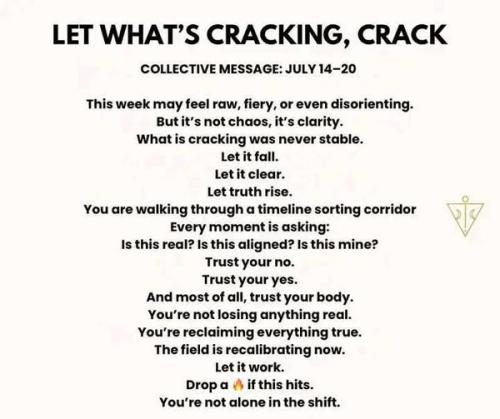 518305491_747545644828297_7753054705760840335_n