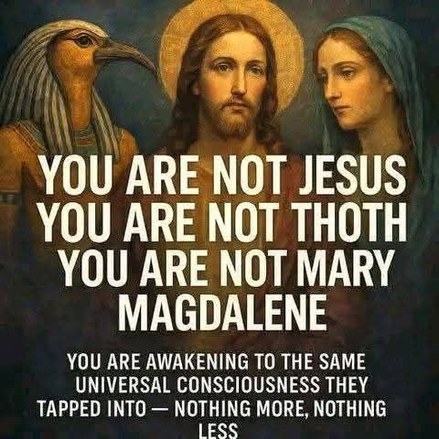 518135051_748174724765389_7478700722090162269_n