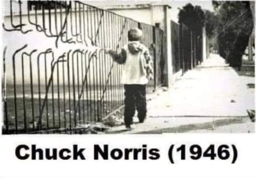 chuck-norris-1946