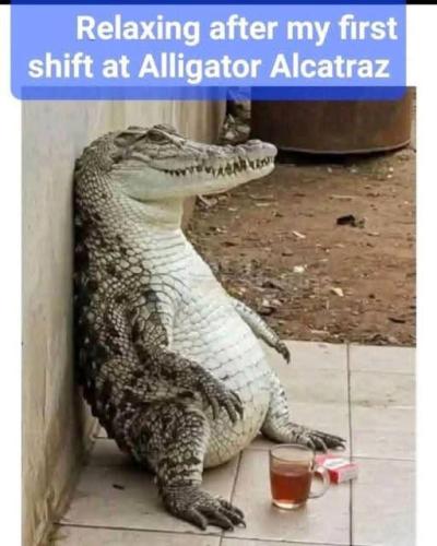 FB_IMG_1751636748283