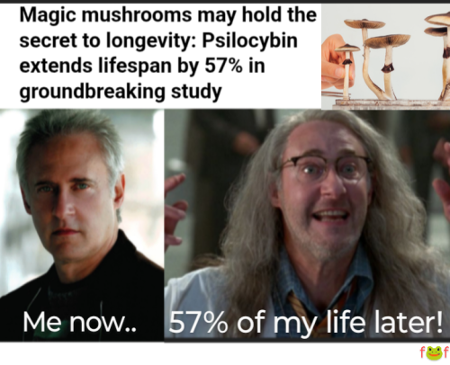 Screenshot_20250710-144017~4