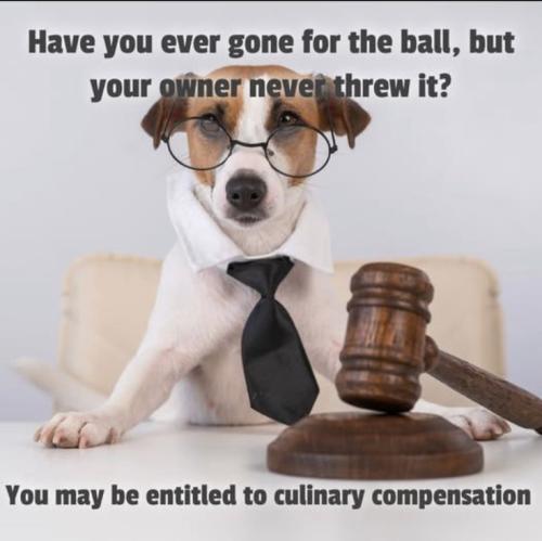 2c6bef3f8d2705ea6756168f7667b695