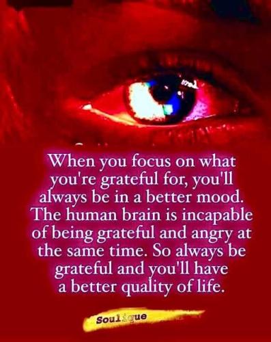 518716707_24510572878568088_7054231721139746240_n