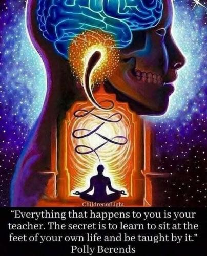 514336585_1551541812472397_354979985807378854_n