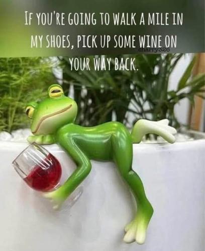 IMG_20250713_152321_617