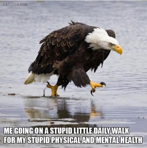 2c4860cbe028d384c44c0b81f2ad944f