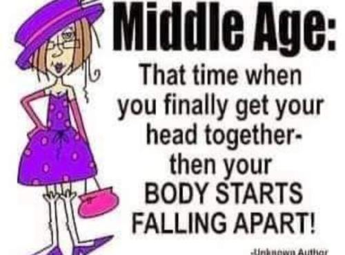 Screenshot_20250719_184336_Gallery