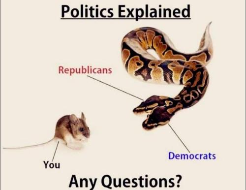 FB_IMG_1752439843481