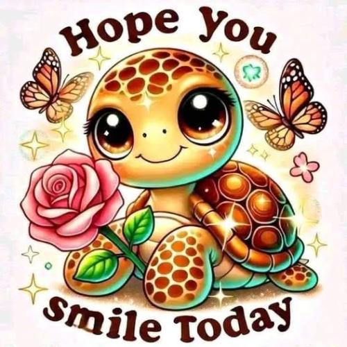 520831102_122220429302088259_5567737730401900403_n