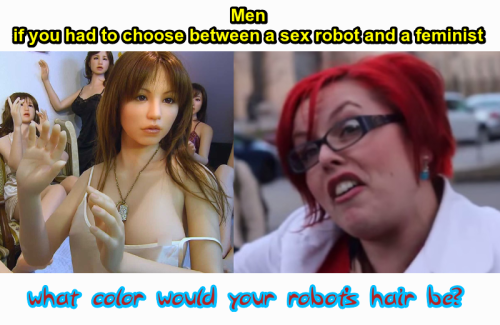 sex robot-feminist