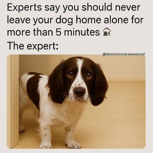 60ab82fe336ccbe0060b301bb8b929db