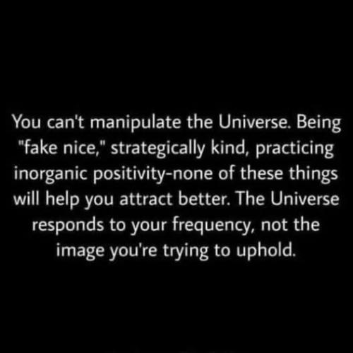 517589914_4211217919204601_4017319080614927462_n