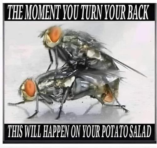 FB_IMG_1752257673100