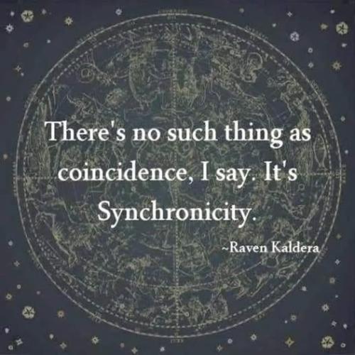 515317973_739471415635720_8884811548797523220_n