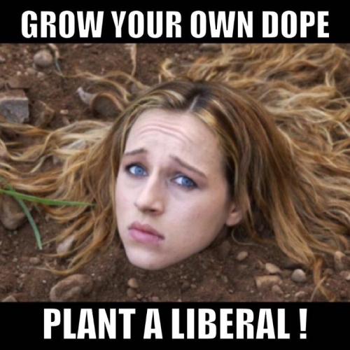 plant a liberal