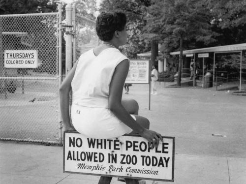 FB_IMG_1753030101472