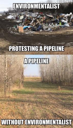 with and without environmentalists