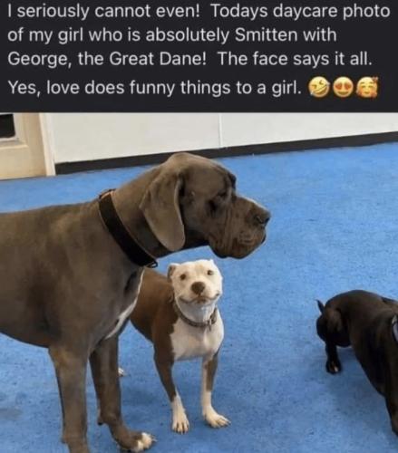 6c8d0d6cb81c455a4eeb8835bbe32248