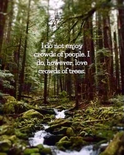 522963545_122194601948053343_8280352251534024721_n