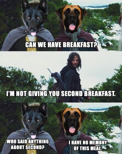 5-minutes-after-eating-v0-cr6gl3s3jqne1