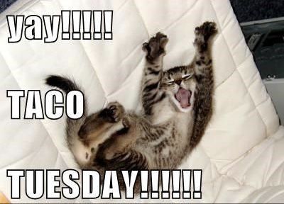 9e3d93e03e9bb34076fb4f7a5c13967c