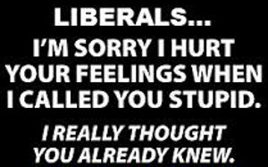 sorry libs