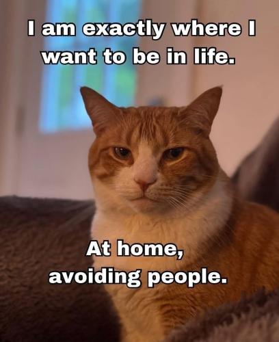 514499768_1285428909616010_7455607486833367550_n